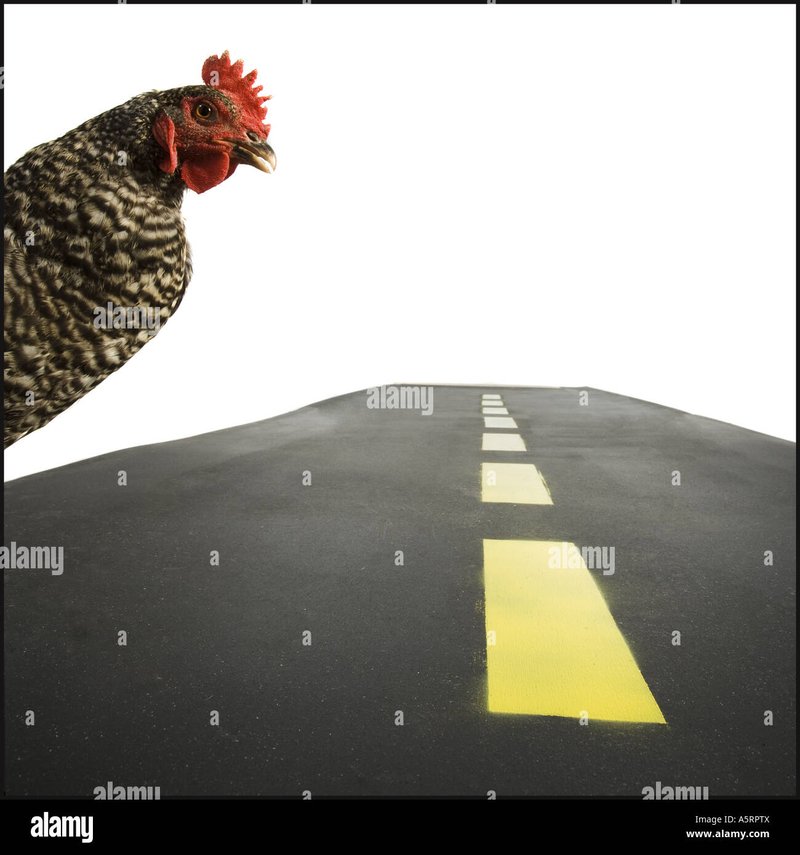 Spain - chicken road españa
