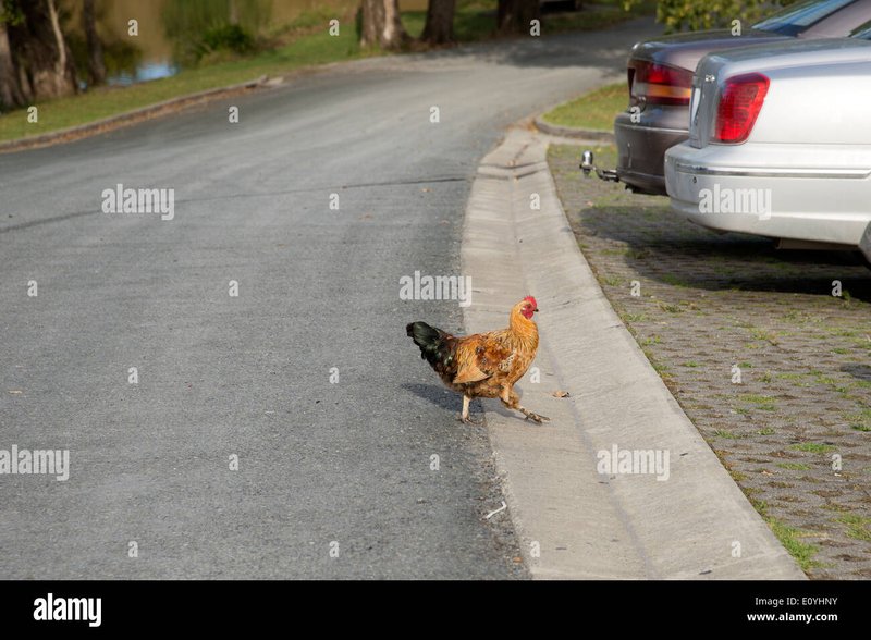 Ontdek de spannende gameplay van Chicken Road Casino in Nederland, chicken road game